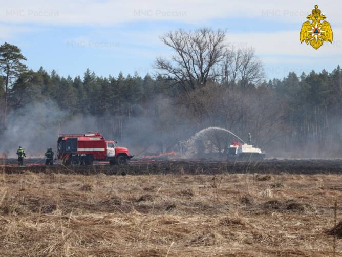 В 12 муниципалитетах Брянщины действует особый противопожарный режим