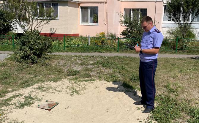 В Брянске осудили директора УК за падение 12-летнего ребёнка с горки