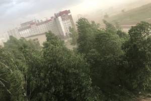 В Брянске 2 июня ураганный ветер поднял пыльную бурю