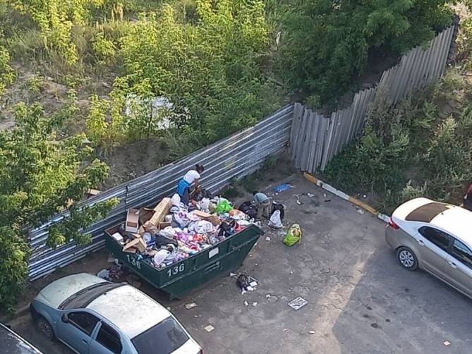 В Брянске копающиеся в мусоре бомжи захламили двор многоэтажки