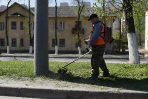 В Брянск постригли 175 тысяч квадратных метров газонов 