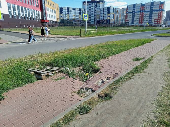 Брянцы просят власти вспомнить о напрочь забытой коммунальщиками улице Грибачева
