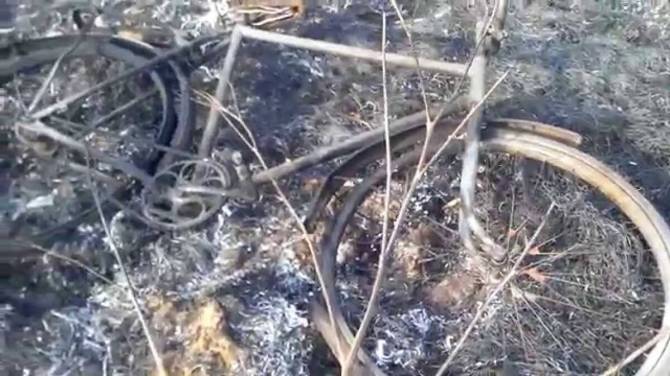 У погибшего при проникновении в Брянскую область диверсанта нашли кошелёк с гривнами