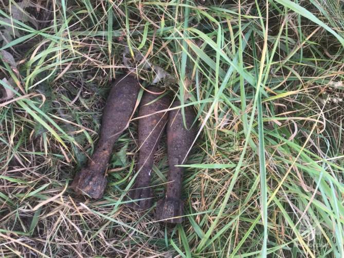 В Дятьковском районе обнаружили три мины времён войны