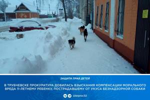 В Трубчевске чиновники выплатят покусанной бездомной собакой девочке 50 тысяч рублей