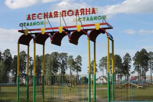 В Жуковке для возведения ледового дворца начали подготавливать место