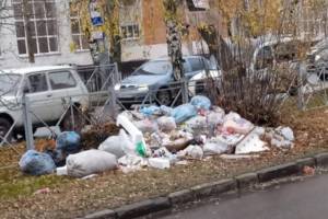 В Брянске устроили свалку под табличкой о запрете складирования мусора