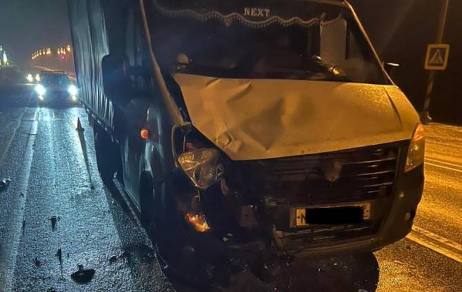 Под Почепом водитель «ГАЗели» сбил на переходе 22-летнего парня