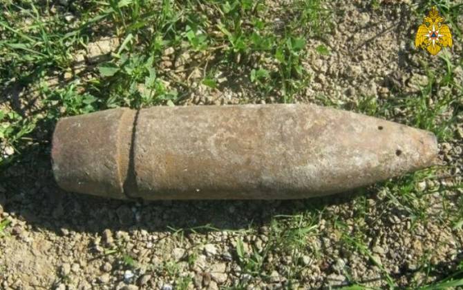 В брянских лесах нашли 5 снарядов времён Великой Отечественной войны