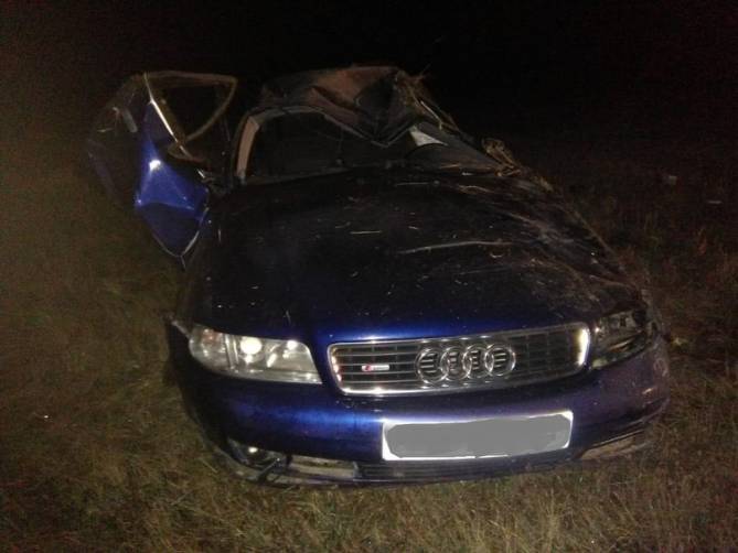 Под Погаром водитель Audi вылетел в кювет и убил 39-летнего пассажира