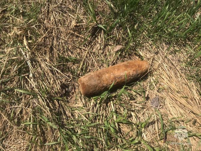 В Брасовском лесу нашли артиллерийский снаряд