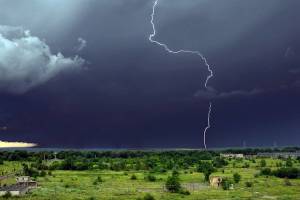 В Брянской области 22 июня обещают кратковременный дождь с грозой