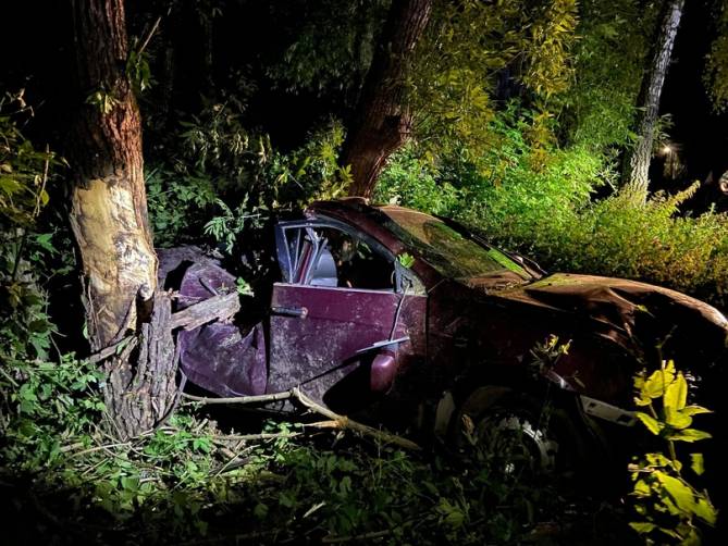 Под Стародубом 18-летний водитель Geely врезался в дерево и сломал позвоночник