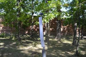  В Новозыбкове неизвестные разбили антивандальные фонари в парке