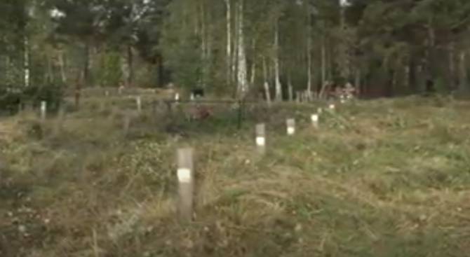 В Брянске планируют огородить жуткое безымянное кладбище