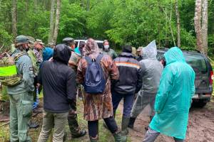 В Климово пропавшего грибника ищут больше 30 человек