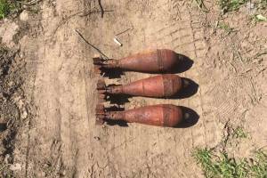 В лесу в Почепском районе нашли три минометные мины