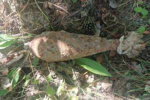 В поле под Навлей нашли миномётный снаряд