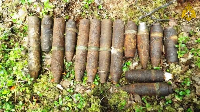 В лесу около Домашово нашли 7 боеприпасов