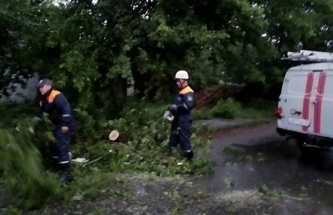 В Брянске ливень уронил 8 деревьев и трижды отключил электричество