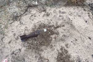 В Погарском районе на берегу Судости нашли минометную мину