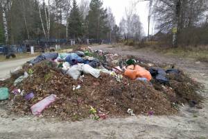 В Дарковичах на кладбище нашли незаконную свалку