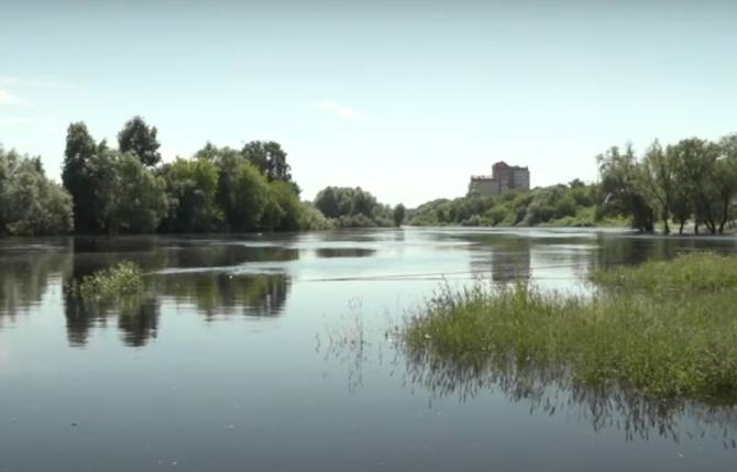 В брянских реках летнее половодье пошло на спад
