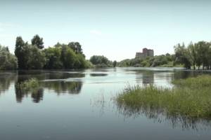 В брянских реках летнее половодье пошло на спад