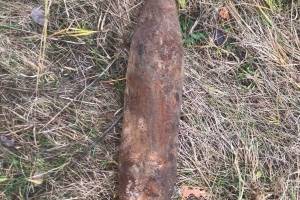 В лесу возле города Сельцо нашли артиллерийский снаряд