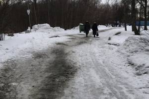 В Брянске вышли на борьбу со льдом на Кургане Бессмертия
