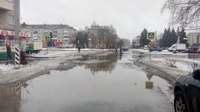 Брянцы попросили Путина разобраться с затопленной дорогой у «Лития»