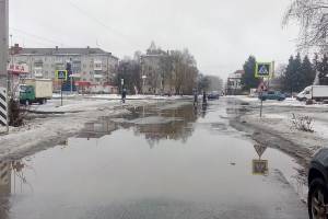 Брянцы попросили Путина разобраться с затопленной дорогой у «Лития»