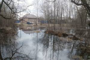 В брянских реках Десна и Болва стабилизировался уровень воды