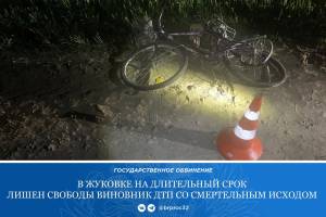 Погубивший 38-летнюю велосипедистку водитель получил 7 с половиной лет колонии