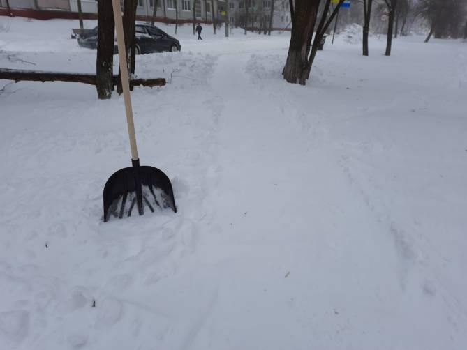 Жители Брянска начали скупать лопаты для расчистки снега