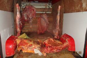 На Брянщине уничтожили 200 килограммов подозрительной говядины