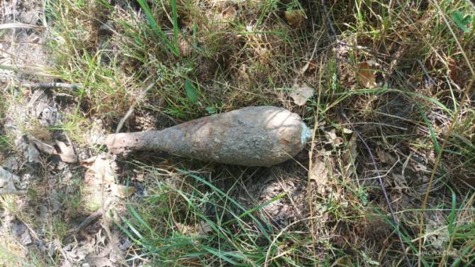 Под Жуковкой нашли артиллерийский снаряд и минометную мину