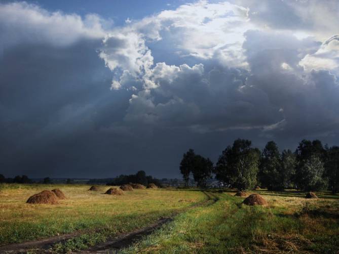 В Брянской области 5 июля пройдут небольшие дожди с грозами