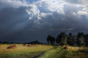В Брянской области 5 июля пройдут небольшие дожди с грозами