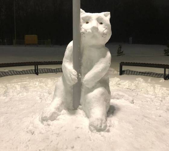 Брянцы слепили необычного снежного кота