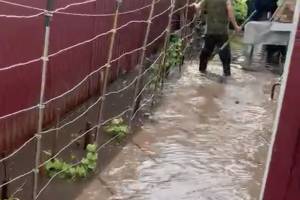 Под Брянском после сильного дождя утонули частные дома