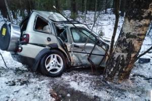 Под Брянском водитель Land Rover протаранил дерево