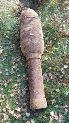 В Рогнединском районе нашли артиллерийский снаряд