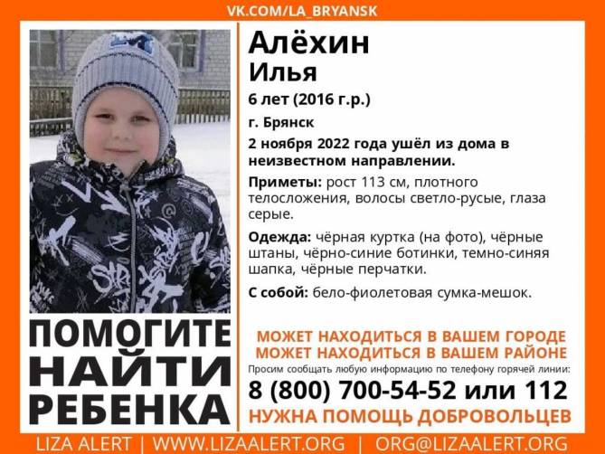 В Брянске пропал 6-летний Илья Алехин
