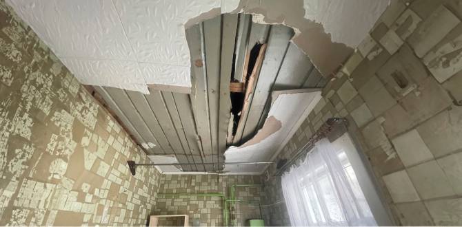 В Новозыбкове главу администрации наказали за жуткое состояние квартиры в жилом доме