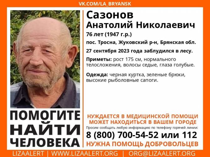 В Брянской области заблудился в лесу и пропал 76-летний Анатолий Сазонов