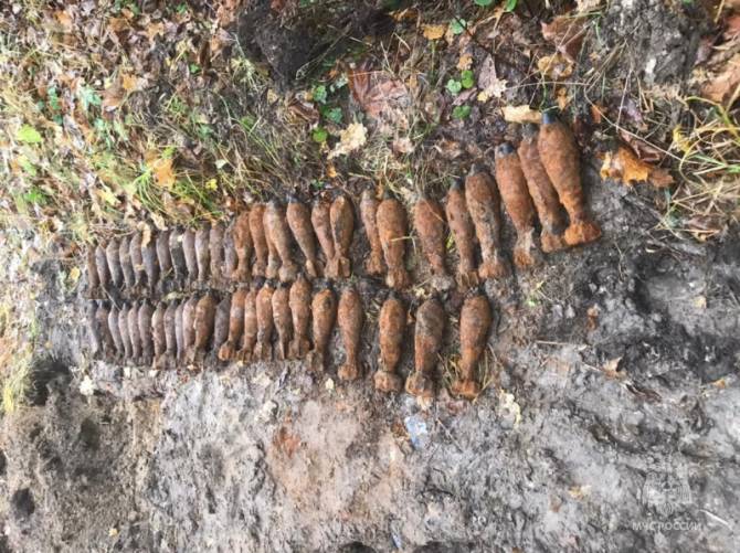 В лесу под брянским селом Журиничи нашли 50 мин