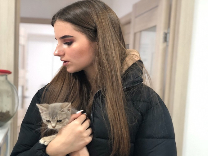 В Брянске на выставке «Забери меня домой» пристроили 13 кошек