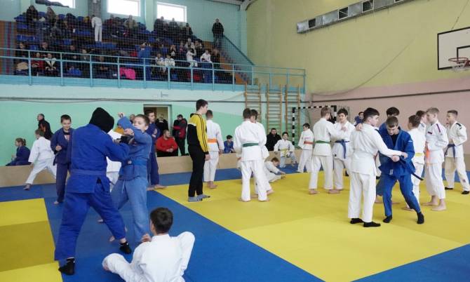 Брянский район принял Международный турнир по дзюдо