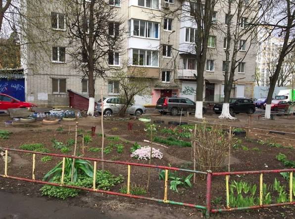 Во дворе брянской многоэтажки появился мини-сад